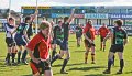 Monaghan 1st XV Vs Strabane. Gordon West Cup Final. April 14th 2012-48